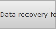 Data recovery for Lubbock data